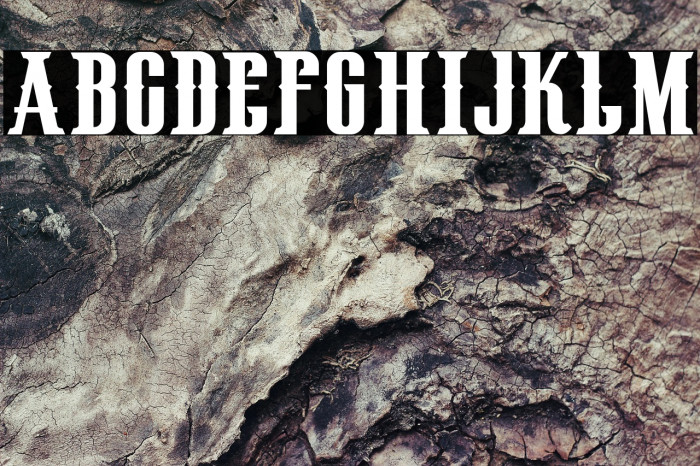 HenryRodeoCircus_demo Example 3