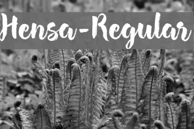 Hensa-Regular Font examples