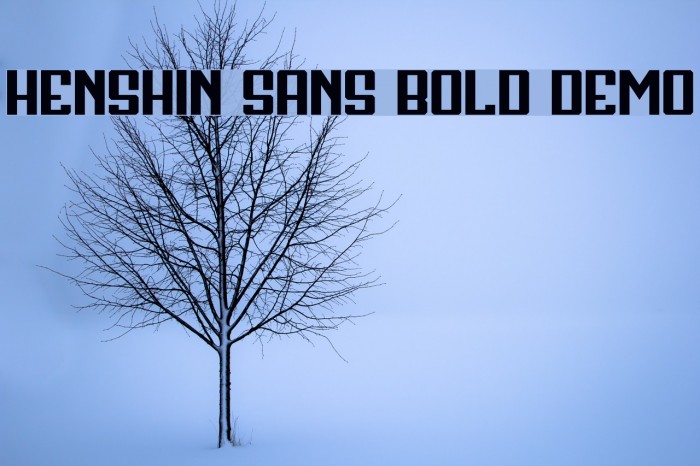 Henshin Sans Bold Demo Font examples