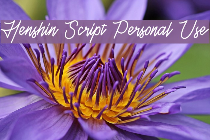 Henshin Script Personal Use Font examples