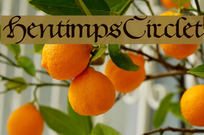 HentimpsCirclet Font examples