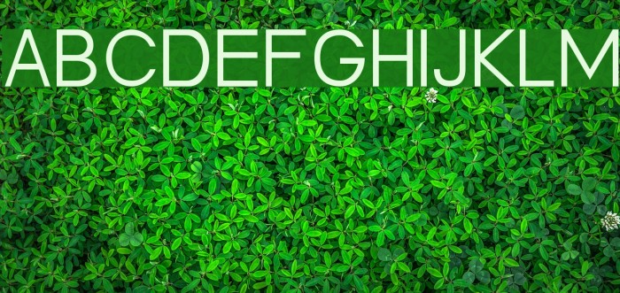 Heo May 1.1 Example 3