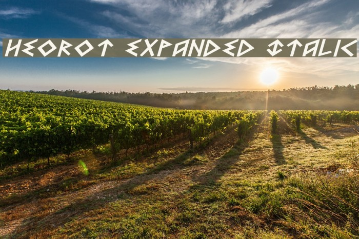 Heorot Expanded Italic Example 1