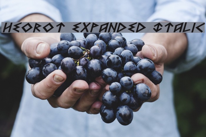 Heorot Expanded Italic Example 2