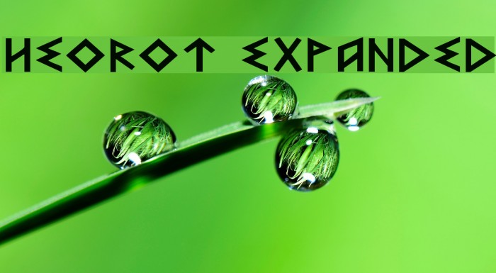 Heorot Expanded Example 3