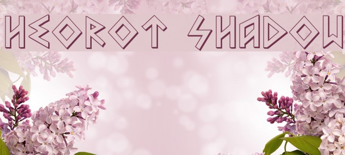 Heorot Shadow Example 1