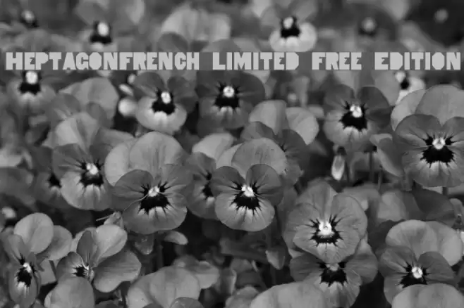HeptagonFrench Limited Free Edition Font examples