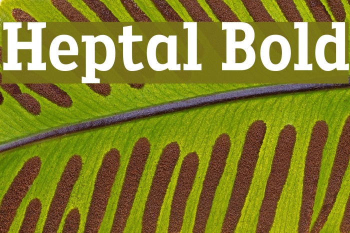 Heptal Bold Font examples