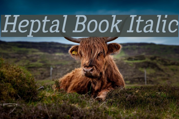 Heptal Book Italic Font examples