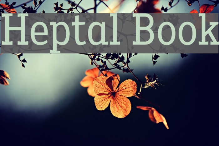 Heptal Book Font examples