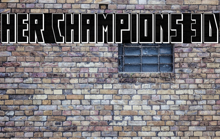 Her Champions 3D Example 3