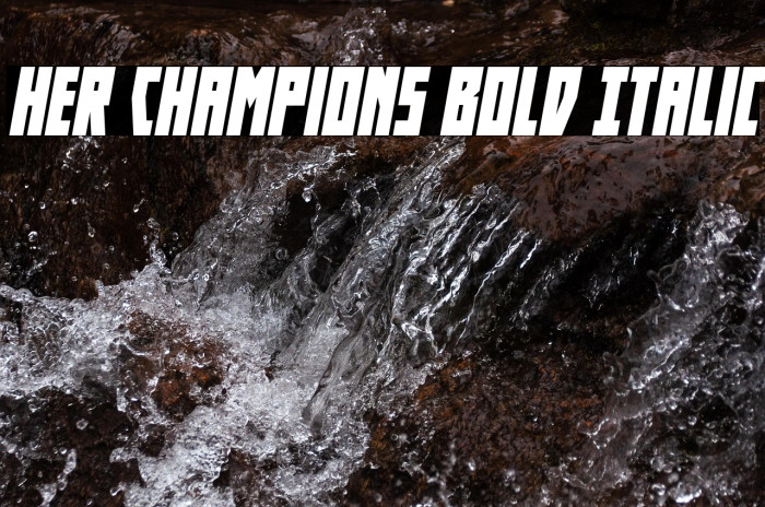 Her Champions Bold Italic Example 3