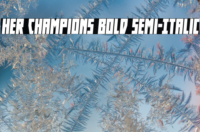 Her Champions Bold Semi-Italic Example 1