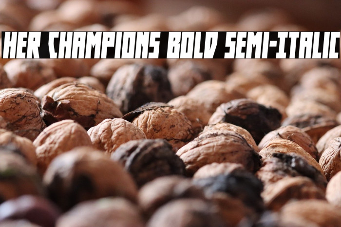 Her Champions Bold Semi-Italic Example 2