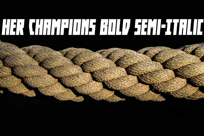 Her Champions Bold Semi-Italic Example 3