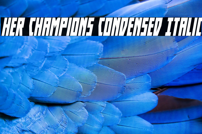 Her Champions Condensed Italic Example 1