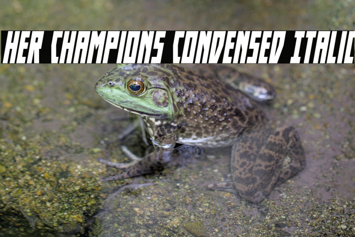 Her Champions Condensed Italic Example 2