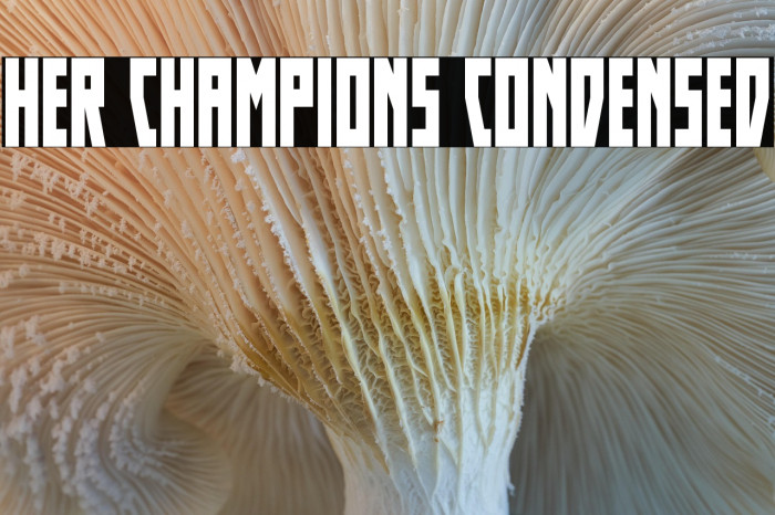 Her Champions Condensed Example 1