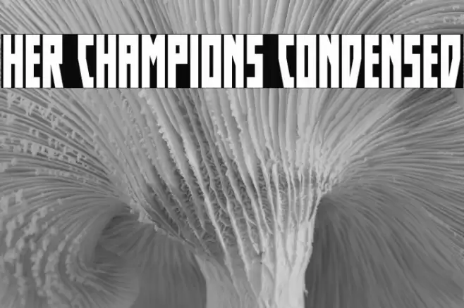 Her Champions Condensed Font examples