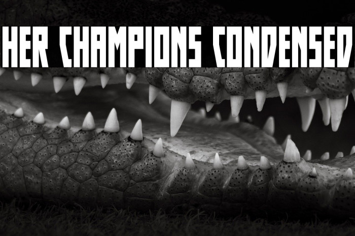 Her Champions Condensed Example 2
