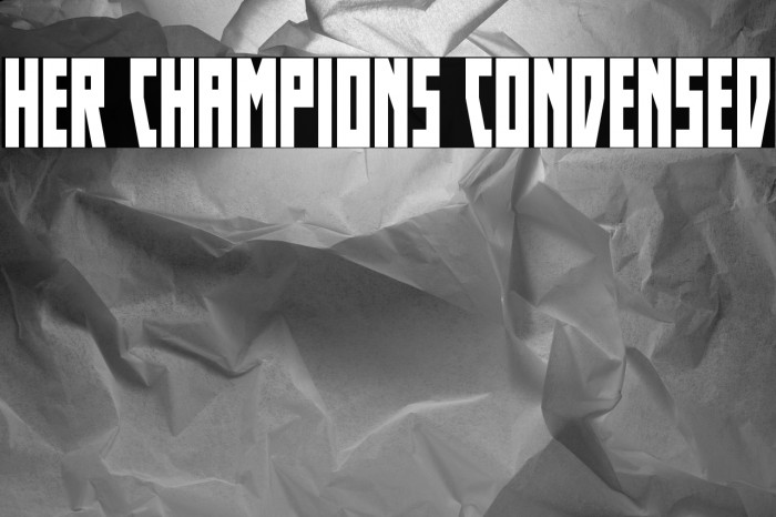 Her Champions Condensed Example 3