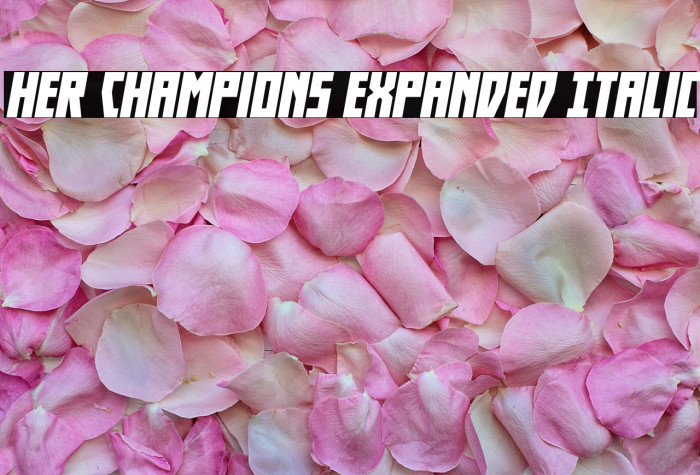 Her Champions Expanded Italic Example 3