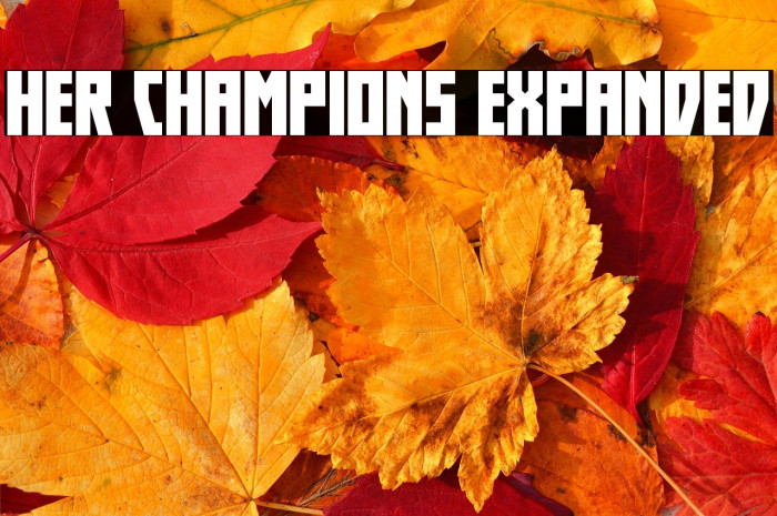 Her Champions Expanded Example 1