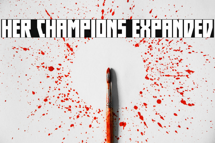 Her Champions Expanded Example 3