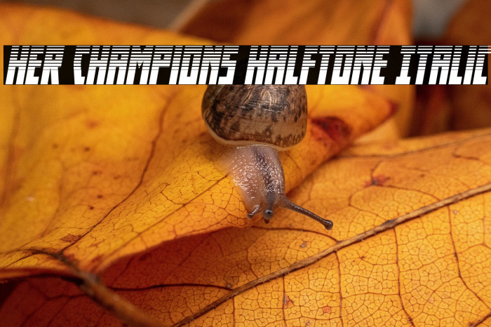 Her Champions Halftone Italic Example 1