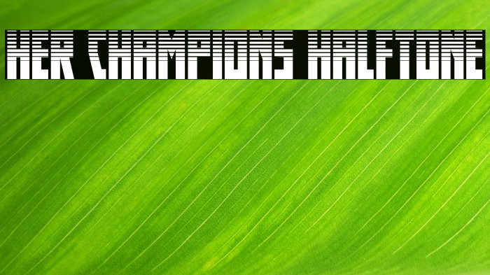Her Champions Halftone Example 2