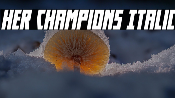 Her Champions Italic Example 2