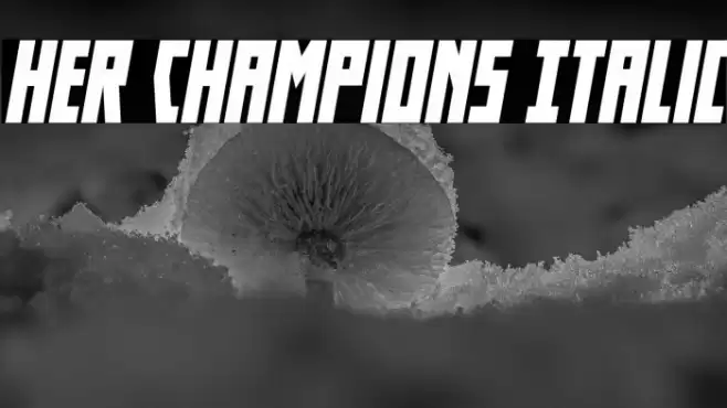 Her Champions Italic Font examples