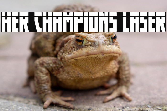 Her Champions Laser Example 3