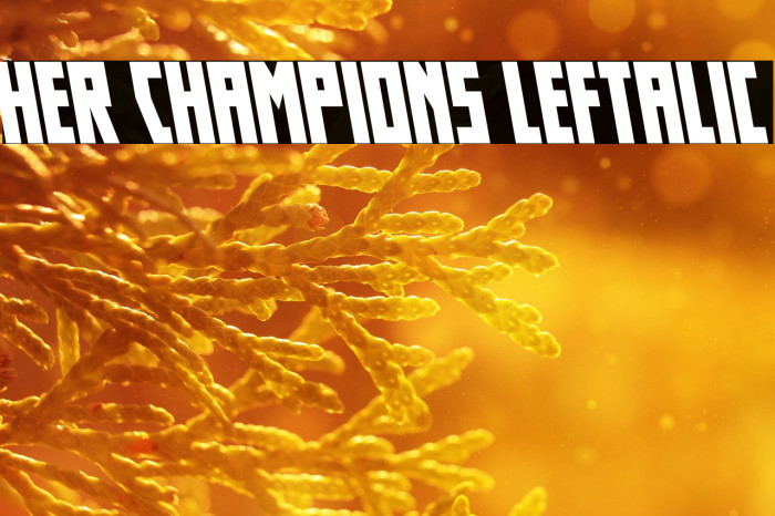 Her Champions Leftalic Example 1