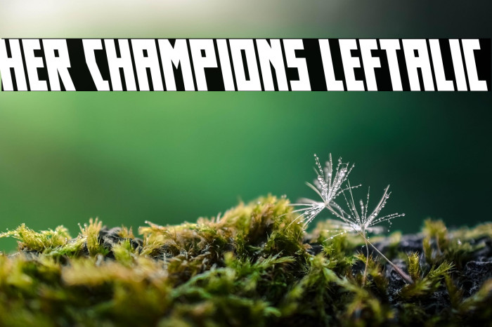 Her Champions Leftalic Example 2