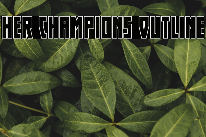 Her Champions Outline Example 3