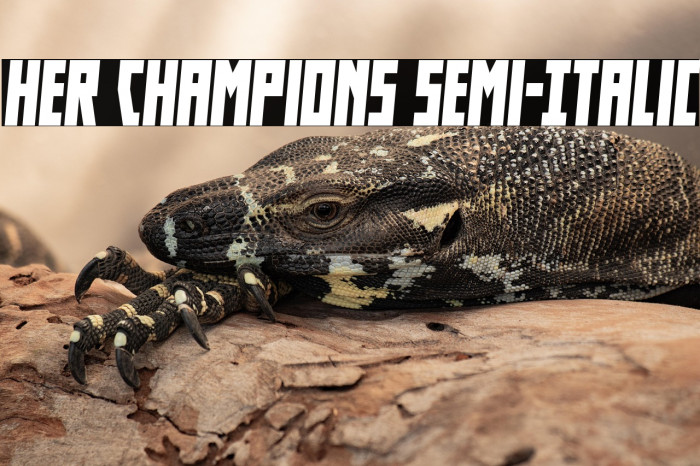Her Champions Semi-Italic Example 1