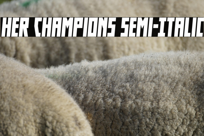 Her Champions Semi-Italic Example 2