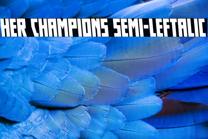 Her Champions Semi-Leftalic Example 2