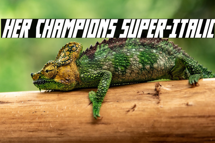 Her Champions Super-Italic Example 2
