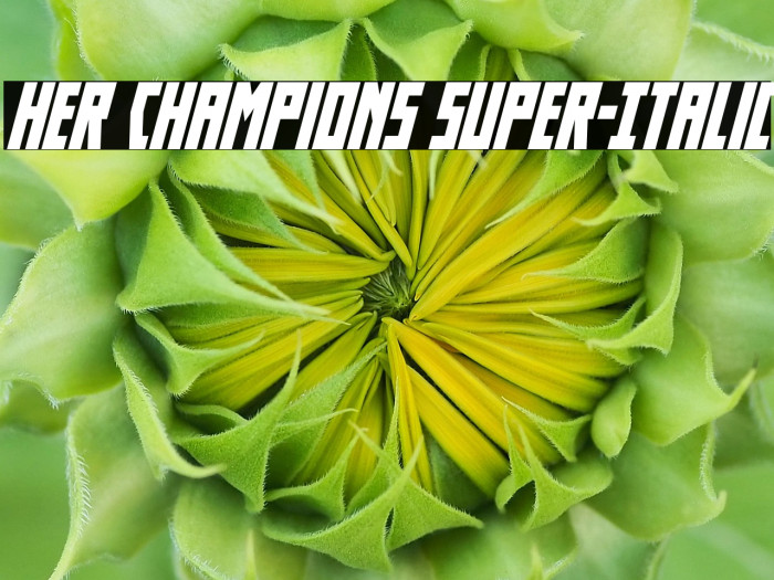 Her Champions Super-Italic Example 3