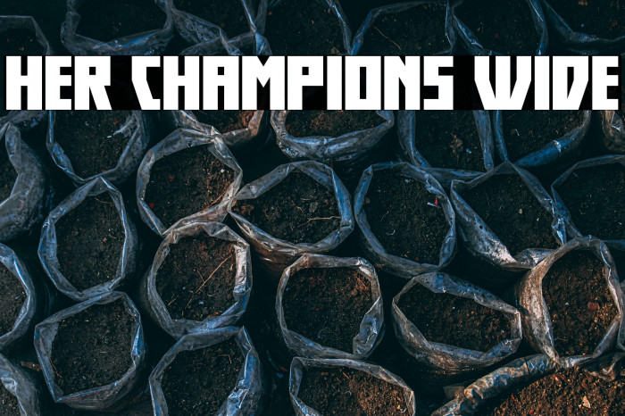 Her Champions Wide Example 1