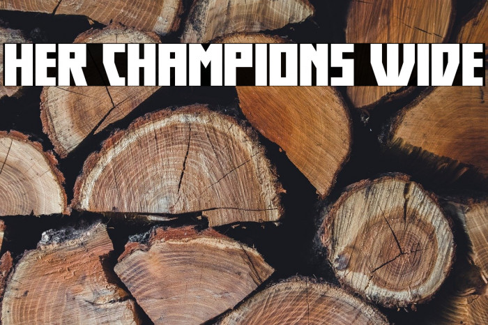 Her Champions Wide Example 3