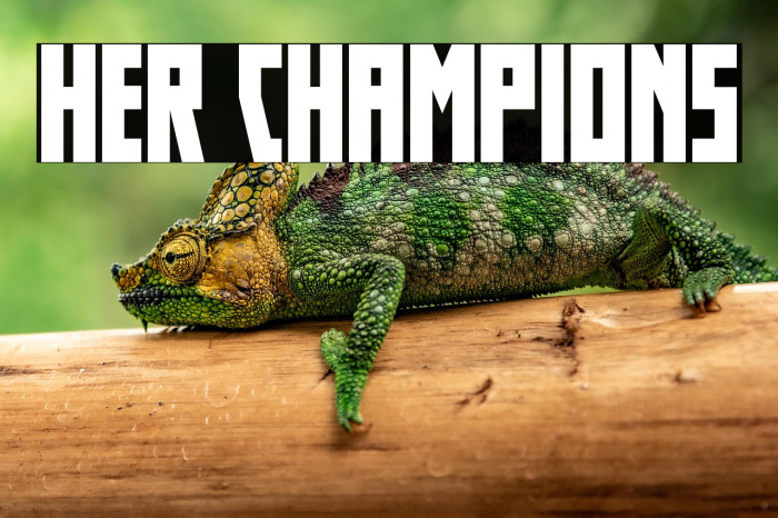 Her Champions Example 1
