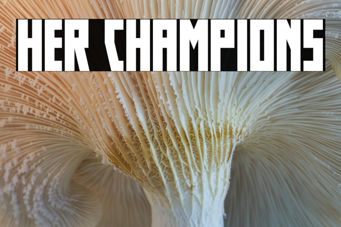 Her Champions Example 3
