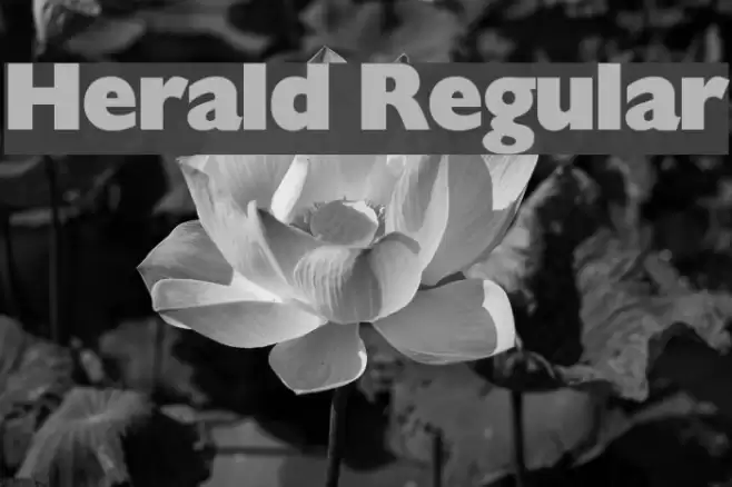 Herald Regular Font examples