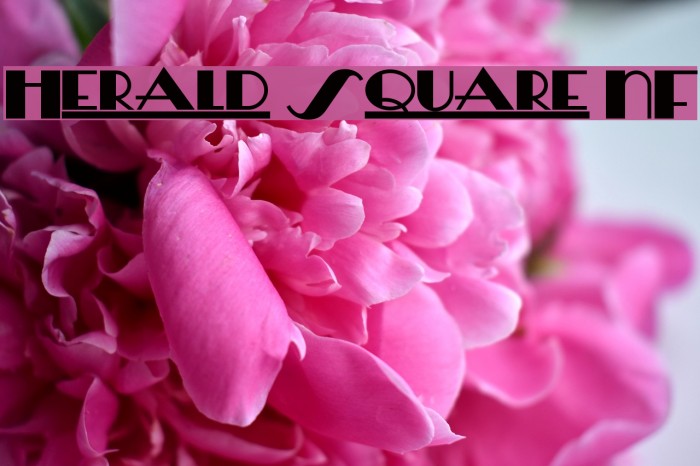 Herald Square NF Font examples