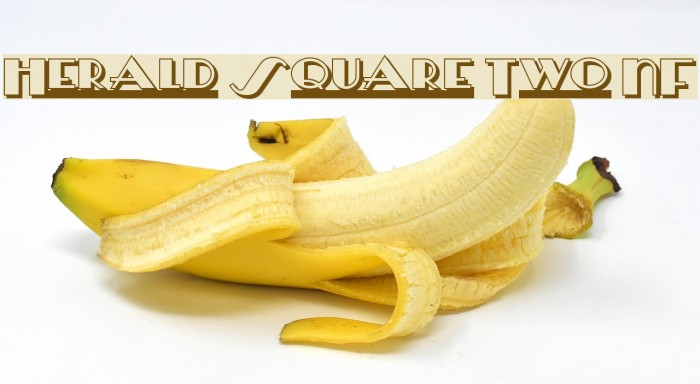 Herald Square Two NF Font examples