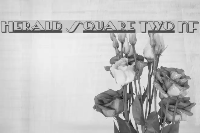Herald Square Two NF Caratteri examples