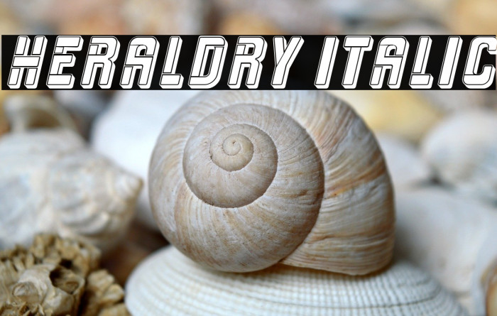 Heraldry Italic Example 3